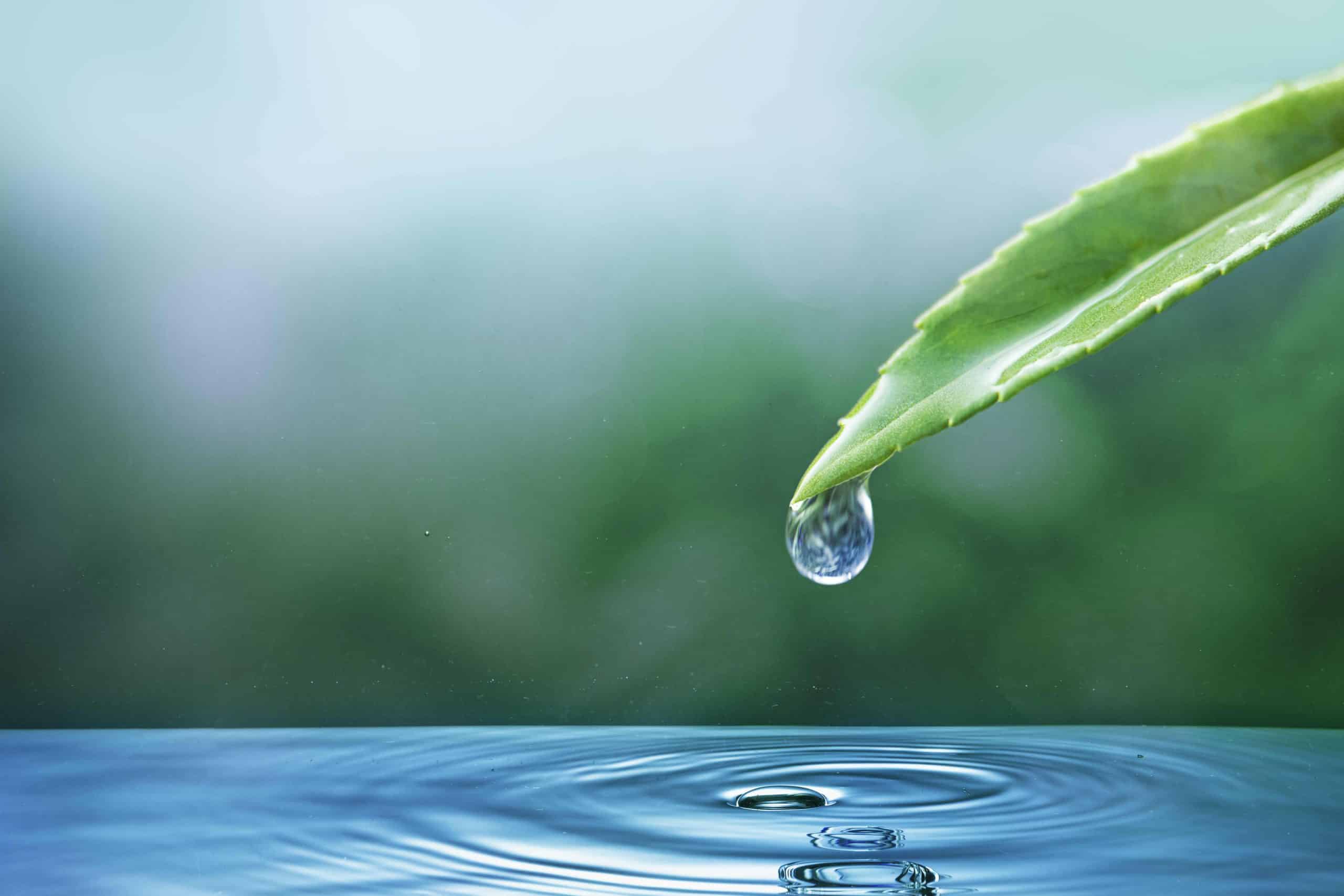 Saf Suyu İçme Suyuna Dönüştürme Yöntemleri Güvenli ve Sürdürülebilir Çözümler